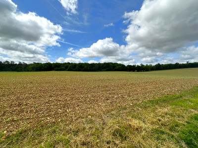 French property for sale in La Rochebeaucourt-et-Argentine, Dordogne - €269,000 - photo 8
