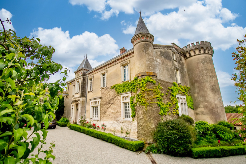 chateau à vendre à Languedoc-Roussillon (Occitanie)