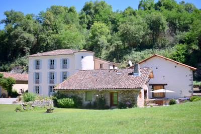 Chateau à vendre à Clermont, Ariège, Midi-Pyrénées, avec Leggett Immobilier