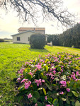 houses and homes for sale inJuillac-le-CoqCharente Poitou_Charentes