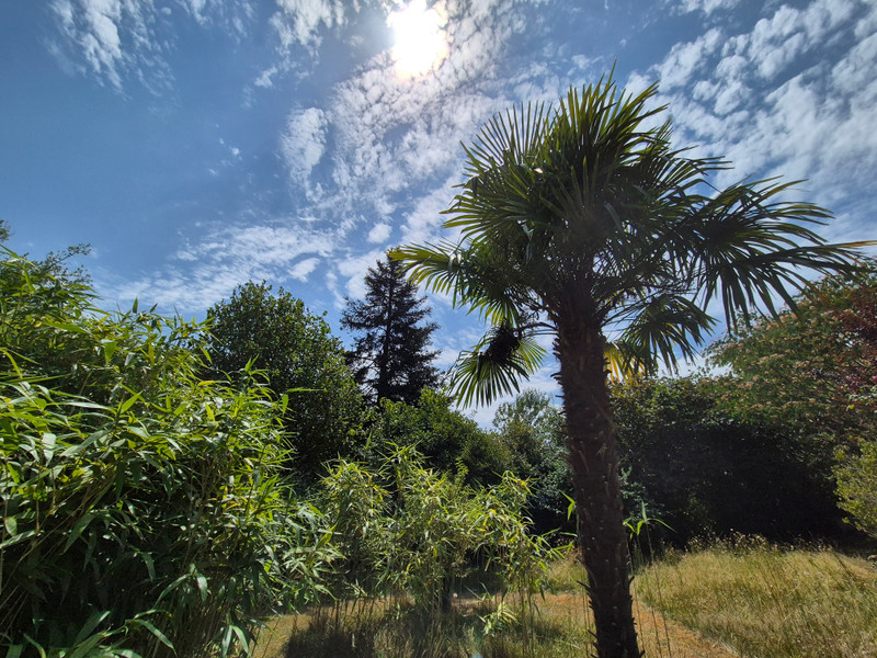French property for sale in Périgueux, Dordogne - €459,000 - photo 3