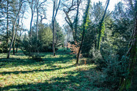 French property, houses and homes for sale in Sore Landes Aquitaine