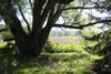 French property for sale in Cour-Maugis sur Huisne, Orne - €110,500 - thumbnail 14