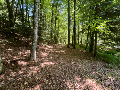 French property for sale in Nedde, Haute-Vienne - €189,000 - photo 4