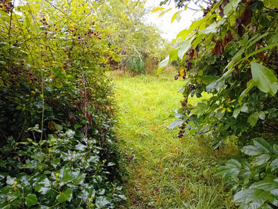 French property for sale in Mazirat, Allier - €143,880 - photo 8