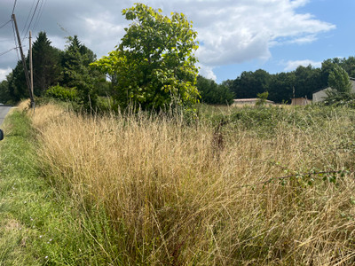 Terrain à vendre à Montpeyroux, Dordogne, Aquitaine, avec Leggett Immobilier