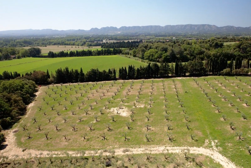 French property for sale in Noves, Bouches-du-Rhône - €3,500,000
