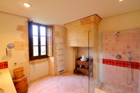 Propriété à vendre à Moulins-sur-Tardoire, Charente - 440 000 € - photo n°9
