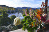 French property for sale in Roquebrun, Hérault - €695,000 - thumbnail 8
