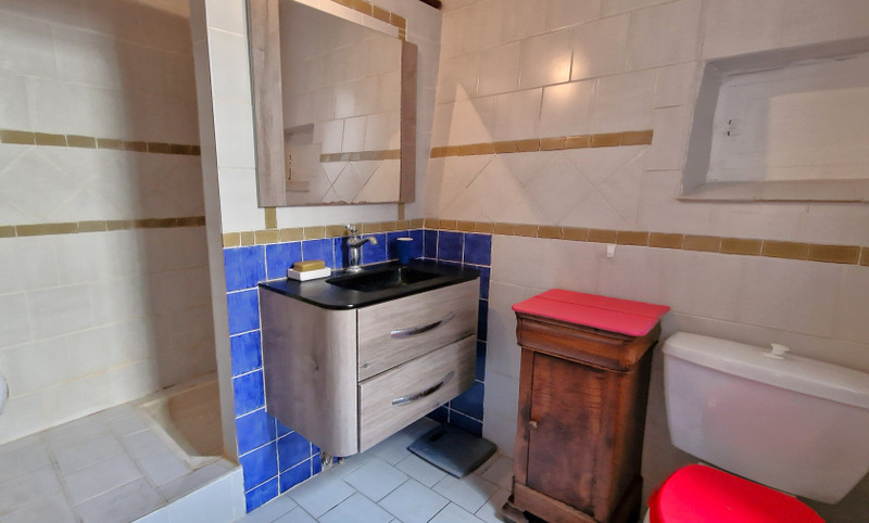 French property for sale in Bize-Minervois, Aude - €295,000 - photo 12