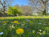 French property for sale in Angoulême, Charente - €367,500 - thumbnail 9