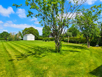Maison à vendre à Rohan, Morbihan - 230.000 € - photo 2