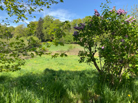 Maison à vendre à Fransèches, Creuse - 99.000 € - photo 13