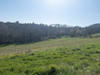 French property for sale in Bertric-Burée, Dordogne - €234,000 - thumbnail 14