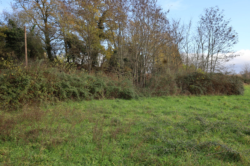 French property for sale in Thonac, Dordogne - €75,210 - photo 4