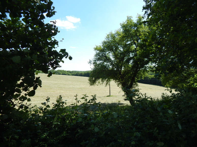 French property for sale in Édon, Charente - €77,000 - photo 5