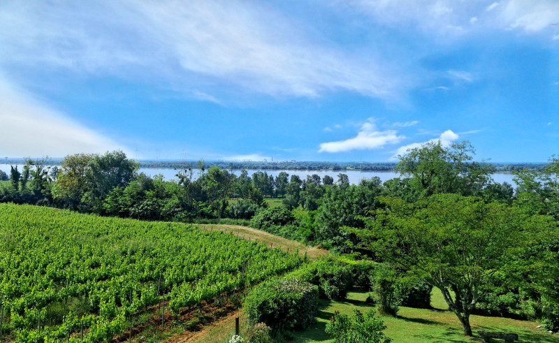 French property for sale in Bourg, Gironde - €371,000 - photo 13