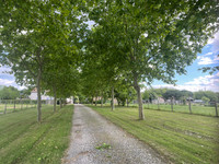 Commerce à vendre à Fongrave, Lot-et-Garonne - 849.500 € - photo 10