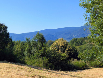 French property for sale in Saint-Amans-Valtoret, Tarn - €415,000 - photo 13