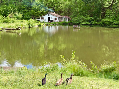 Chalet à vendre à Augignac, Dordogne, Aquitaine, avec Leggett Immobilier