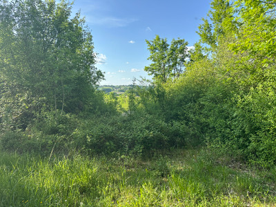 French property for sale in Bertric-Burée, Dordogne - €16,600 - photo 4