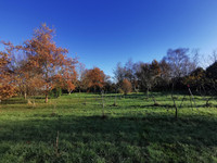 Maison à vendre à La Gacilly, Morbihan - 371.000 € - photo 5