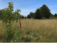 Terrain à vendre à Bussière-Galant, Haute-Vienne - 24.000 € - photo 3