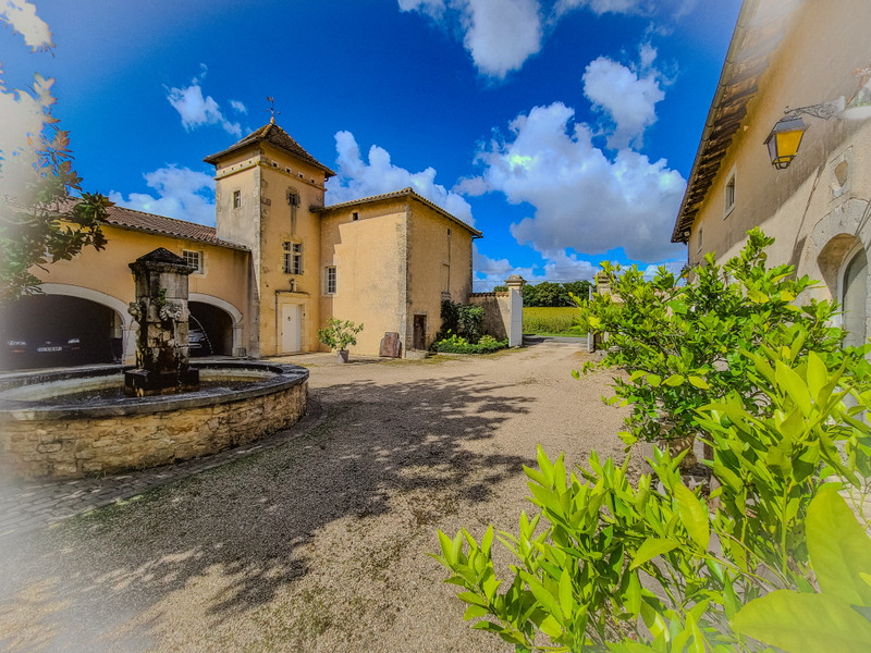 French property for sale in Vieux-Ruffec, Charente - €636,000 - photo 0