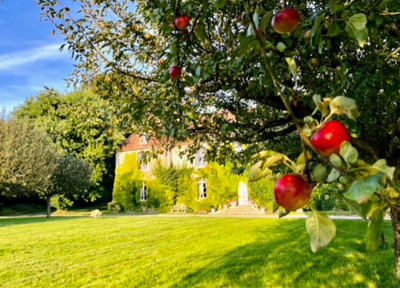 FOR SALE: Prestigious stud farm (14 ha)  in Normandy (total with lease 110ha) and its 280m² manor house