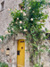 French property for sale in Flayosc, Var - €260,000 - thumbnail 9