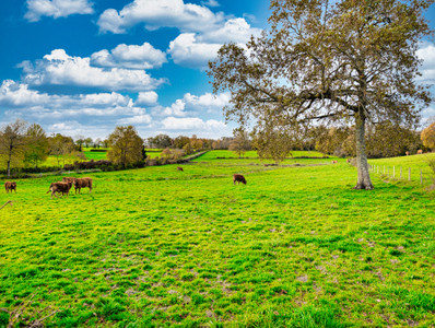 French property for sale in Saint-Hilaire-la-Treille, Haute-Vienne - €265,000 - photo 9