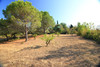French property for sale in Ginestas, Aude - €505,000 - thumbnail 9