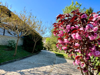 Maison à vendre à Eymet, Dordogne - 339.000 € - photo 2