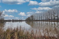 Lacs à vendre à Connerré, Sarthe - 185 760 € - photo 8