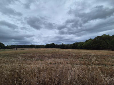 French property for sale in Mussidan, Dordogne - €398,000 - photo 8