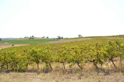 commercial for sale in Gironde