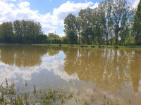 Lacs à vendre à Grez-en-Bouère, Mayenne - 88 000 € - photo 5