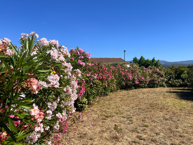 French property for sale in Conques-sur-Orbiel, Aude - €287,900 - photo 1