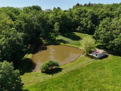 French property for sale in Beauregard-de-Terrasson, Dordogne - €380,000 - photo 1