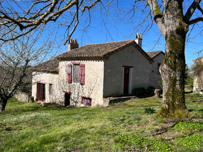French property for sale in Brassac, Tarn-et-Garonne - €160,000 - photo 2