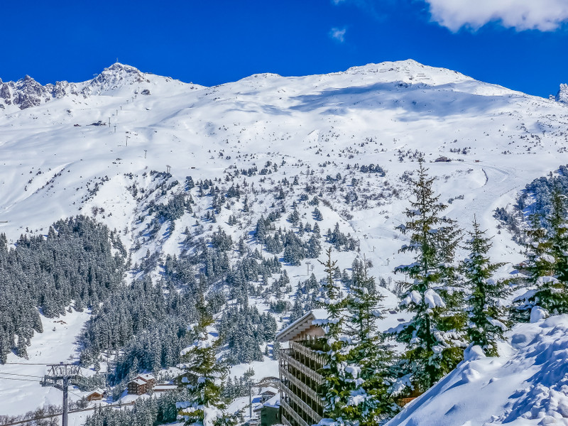 Ski property for sale in Meribel - €2,300,000 - photo 9