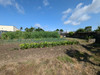 French property for sale in Mauges-sur-Loire, Maine-et-Loire - €330,000 - thumbnail 14