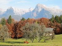 Terrain à vendre à Samoëns, Haute-Savoie - 635 000 € - photo 1