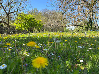 French property for sale in Angoulême, Charente - €367,500 - photo 4