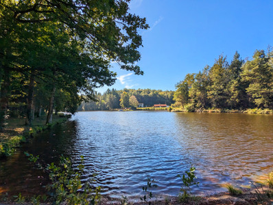 Lacs à vendre à Saint-Priest-Ligoure, Haute-Vienne, Limousin, avec Leggett Immobilier