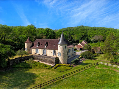 chateau for sale in Aquitaine (Nouvelle-Aquitaine)