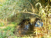 Maison à La Roche-Bernard, Morbihan - photo 10