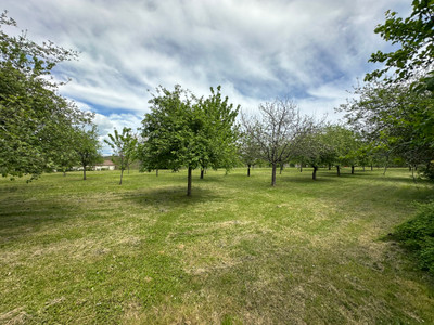 French property for sale in Temple-Laguyon, Dordogne - €288,900 - photo 4