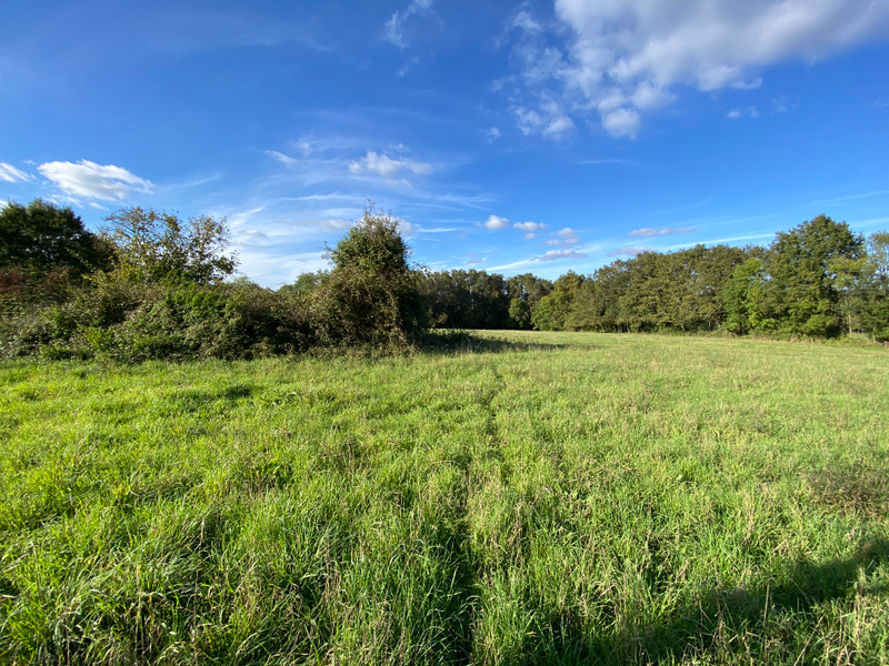 French property for sale in Écuras, Charente - €95,000 - photo 9