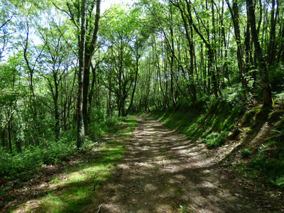 French property for sale in Ossun-ez-Angles, Hautes-Pyrénées - €780,000 - photo 14